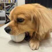 ヒメ日記 2025/10/20 20:32 投稿 福家　いおり PLATINA R-30（すすきの）