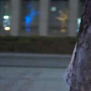 ヒメ日記 2024/12/08 08:21 投稿 くみ チューリップ姫路店