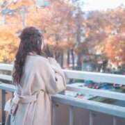 ヒメ日記 2024/12/29 06:50 投稿 くみ チューリップ姫路店