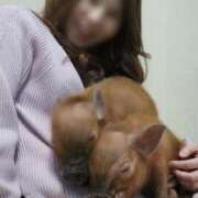 ヒメ日記 2025/02/05 19:50 投稿 くみ チューリップ姫路店