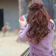 ヒメ日記 2025/03/11 06:50 投稿 くみ チューリップ姫路店