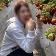 ヒメ日記 2025/03/24 15:10 投稿 くみ チューリップ姫路店