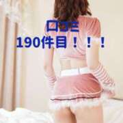 ヒメ日記 2025/04/10 09:32 投稿 くみ チューリップ姫路店