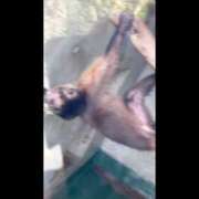 ヒメ日記 2025/07/24 00:50 投稿 くみ チューリップ姫路店