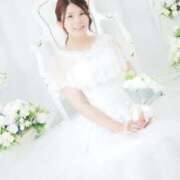 ヒメ日記 2025/07/26 08:20 投稿 くみ チューリップ姫路店