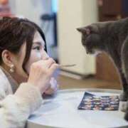 ヒメ日記 2025/11/21 14:50 投稿 くみ チューリップ姫路店