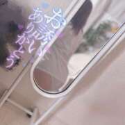 ヒメ日記 2025/03/08 05:37 投稿 みゆう 白いぽっちゃりさん錦糸町店