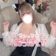 ヒメ日記 2025/11/24 13:47 投稿 みゆう 白いぽっちゃりさん錦糸町店