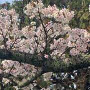 ヒメ日記 2025/03/30 08:59 投稿 皆川ありあ 全裸革命orおもいっきり痴漢電車