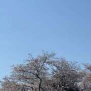 ヒメ日記 2025/04/04 12:29 投稿 皆川ありあ 全裸革命orおもいっきり痴漢電車