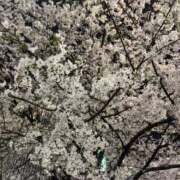 ヒメ日記 2025/04/08 00:29 投稿 皆川ありあ 全裸革命orおもいっきり痴漢電車