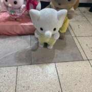 ヒメ日記 2025/09/04 18:19 投稿 皆川ありあ 全裸革命orおもいっきり痴漢電車