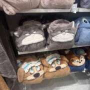 ヒメ日記 2025/11/06 14:57 投稿 皆川ありあ 全裸革命orおもいっきり痴漢電車