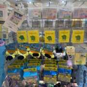 ヒメ日記 2025/11/28 17:07 投稿 皆川ありあ 全裸革命orおもいっきり痴漢電車