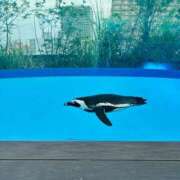 ヒメ日記 2025/10/04 13:51 投稿 すみれ 初体験