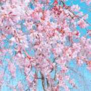 ヒメ日記 2025/02/28 17:33 投稿 みさ ルージュ(会津若松)