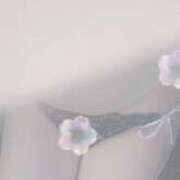 ヒメ日記 2025/04/15 07:57 投稿 みさ ルージュ(会津若松)