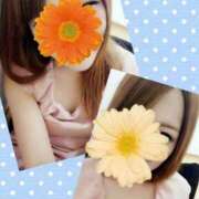 ヒメ日記 2025/10/11 08:48 投稿 れいあ 厚木人妻城