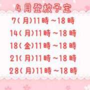 ヒメ日記 2025/03/31 11:00 投稿 つくし チェックイン横浜女学園