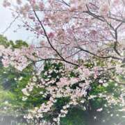 ヒメ日記 2025/04/06 22:47 投稿 つくし チェックイン横浜女学園