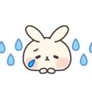 ヒメ日記 2025/04/14 09:58 投稿 つくし チェックイン横浜女学園