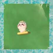 ヒメ日記 2025/05/23 10:56 投稿 つくし チェックイン横浜女学園