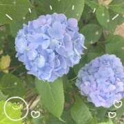 ヒメ日記 2025/06/12 12:14 投稿 つくし チェックイン横浜女学園