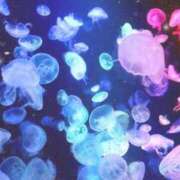 ヒメ日記 2025/07/24 12:17 投稿 つくし チェックイン横浜女学園