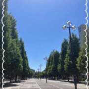 ヒメ日記 2025/07/25 13:44 投稿 つくし チェックイン横浜女学園