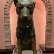 ヒメ日記 2025/09/29 12:50 投稿 つくし チェックイン横浜女学園