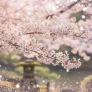 ヒメ日記 2026/02/26 11:30 投稿 つくし チェックイン横浜女学園