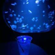 ヒメ日記 2025/08/11 12:03 投稿 新恋【にこ】 輝女