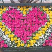 ヒメ日記 2025/10/27 19:56 投稿 新恋【にこ】 輝女