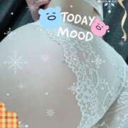 ヒメ日記 2024/12/14 09:54 投稿 宮崎さおり 大人めシンデレラ 新横浜店（シンデレラグループ）