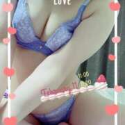 ヒメ日記 2025/02/11 10:01 投稿 宮崎さおり 大人めシンデレラ 新横浜店（シンデレラグループ）