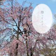 ヒメ日記 2025/03/30 15:59 投稿 嵐山もみじ 全裸革命orおもいっきり痴漢電車