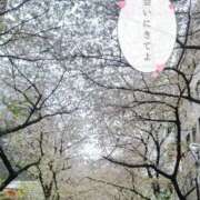 ヒメ日記 2025/04/07 13:39 投稿 嵐山もみじ 全裸革命orおもいっきり痴漢電車