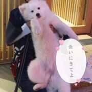 ヒメ日記 2025/05/01 21:09 投稿 嵐山もみじ 全裸革命orおもいっきり痴漢電車