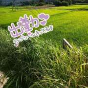 ヒメ日記 2025/08/02 09:29 投稿 嵐山もみじ 全裸革命orおもいっきり痴漢電車