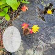 嵐山もみじ お久しぶりです🍁 全裸革命orおもいっきり痴漢電車