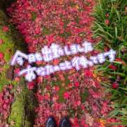 ヒメ日記 2025/12/13 13:27 投稿 嵐山もみじ 全裸革命orおもいっきり痴漢電車