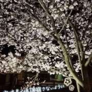 嵐山もみじ 次回出勤🌸 全裸革命orおもいっきり痴漢電車