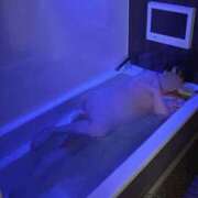 ヒメ日記 2025/10/09 14:46 投稿 みちこ♡熟れた淫らな淑女♡ 富山高岡ちゃんこ