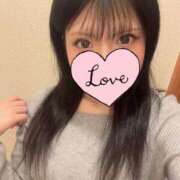 ヒメ日記 2025/04/15 23:13 投稿 うた フェアリードール