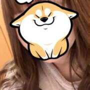 ヒメ日記 2024/12/16 02:35 投稿 ほのか 胡蝶蘭