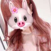 ヒメ日記 2025/03/07 23:44 投稿 ほのか 胡蝶蘭