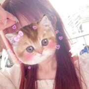 ヒメ日記 2025/08/19 19:00 投稿 ほのか 胡蝶蘭