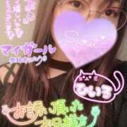 ヒメ日記 2025/12/26 00:20 投稿 ひいろ 熟女の風俗最終章 蒲田店