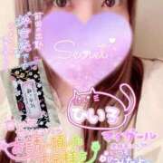 ヒメ日記 2026/02/01 12:20 投稿 ひいろ 熟女の風俗最終章 蒲田店