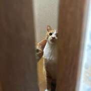 ヒメ日記 2025/10/06 10:56 投稿 ゆきの 池袋マリン本店